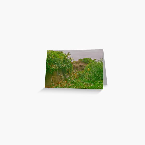 Nature takes back its right Greeting Card