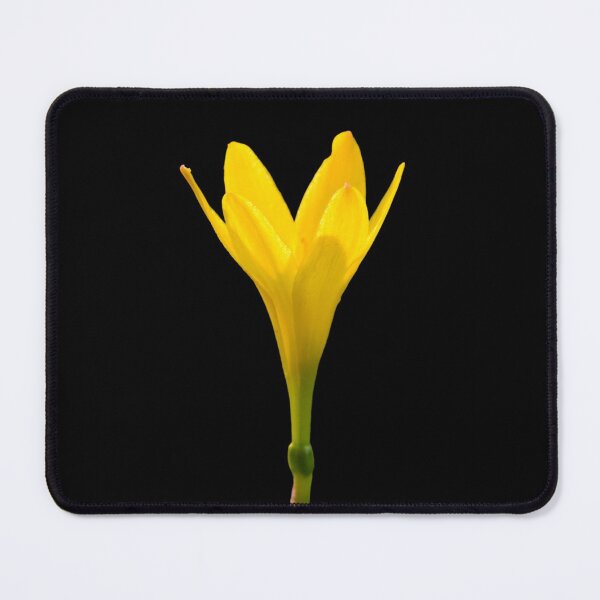 Item preview, Yellow Lily flower designed and sold by mrhighsky.