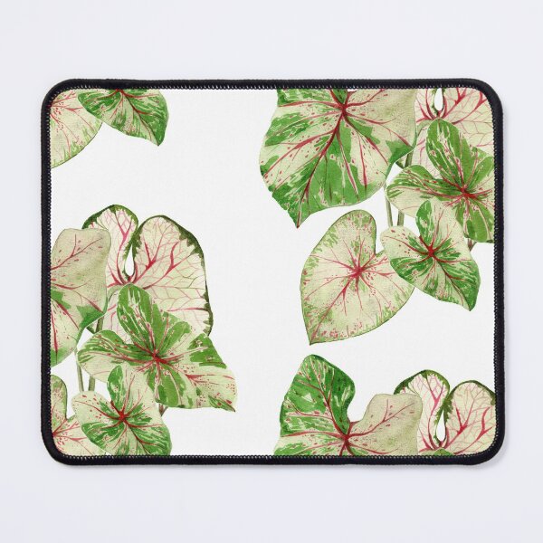 Item preview, Caladium plant designed and sold by PetitMartin.