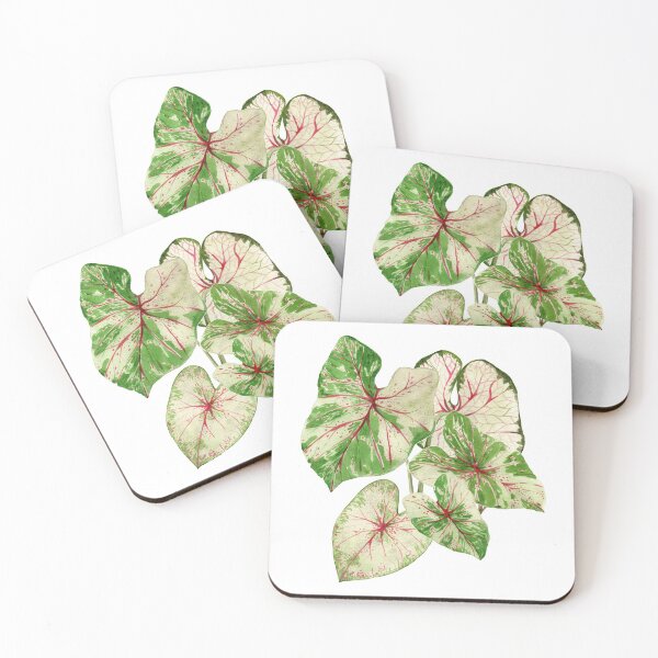 Item preview, Caladium plant designed and sold by PetitMartin.