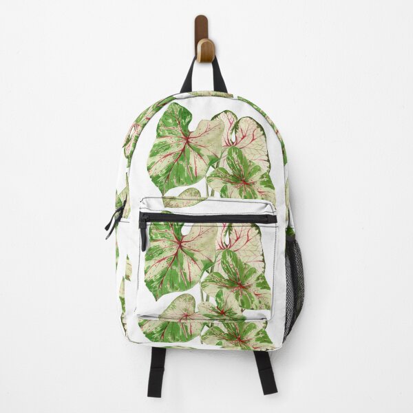 Item preview, Caladium plant designed and sold by PetitMartin.