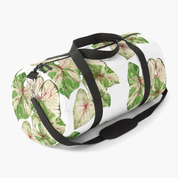 Item preview, Caladium plant designed and sold by PetitMartin.