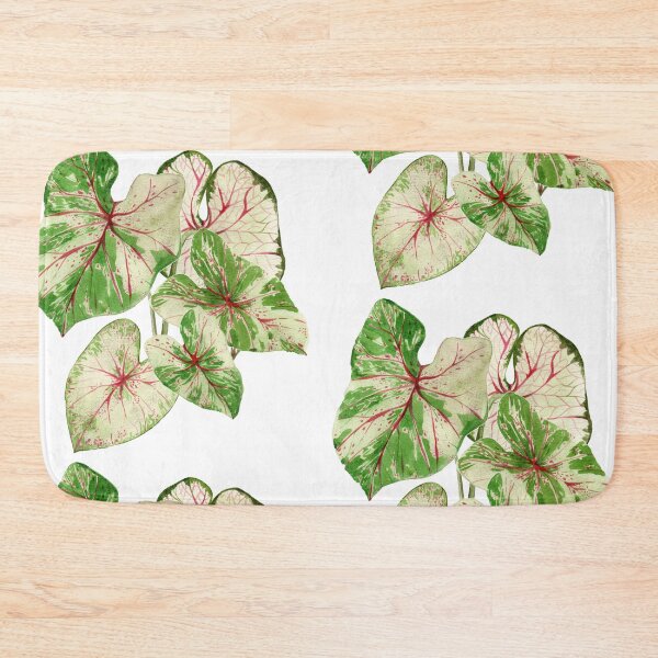 Item preview, Caladium plant designed and sold by PetitMartin.