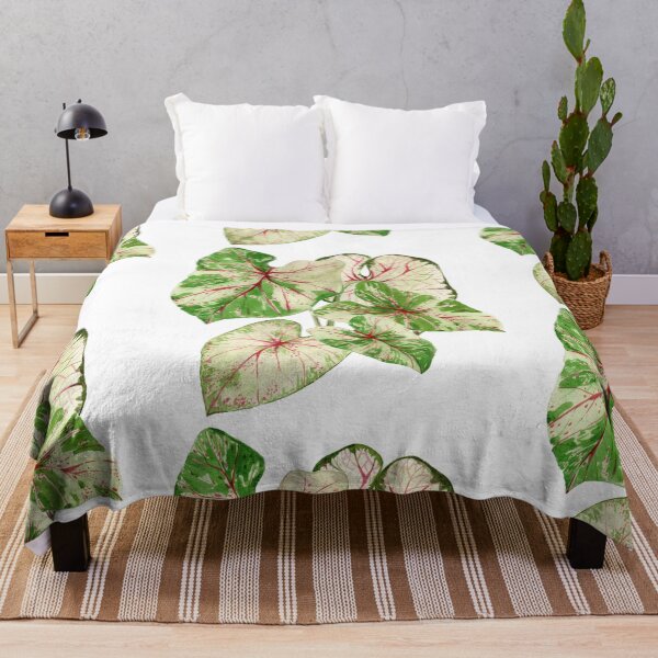 Item preview, Caladium plant designed and sold by PetitMartin.