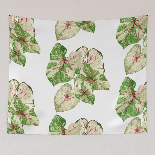 Item preview, Caladium plant designed and sold by PetitMartin.