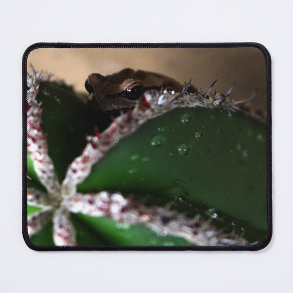 Item preview, Unexpected Harmony: Frog Perched on Cactus designed and sold by Paul Yeatman.