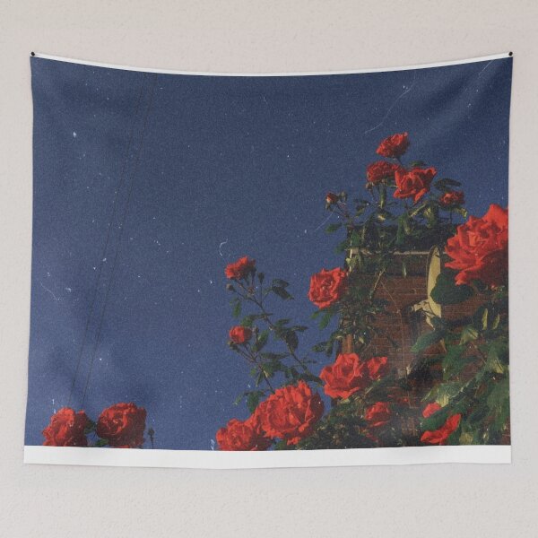 Item preview, red roses in front of blue sky designed and sold by meikekurver.