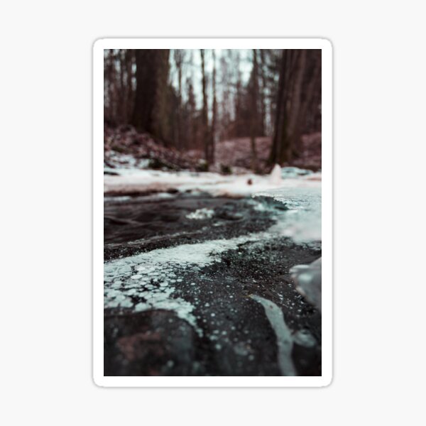 Shallow Focus Photo Of Gray Ground Sticker