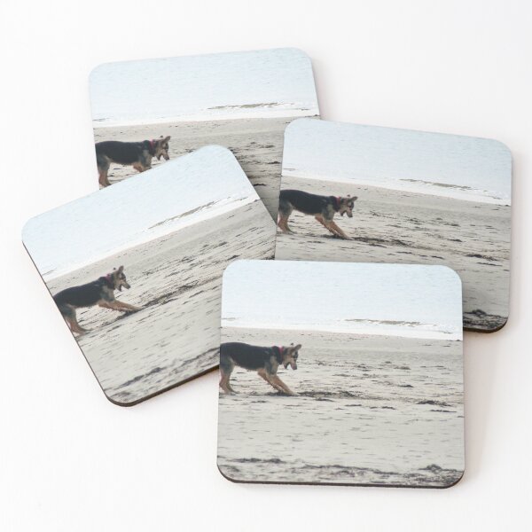 Item preview, Dog playing on a Beach designed and sold by Calidris Fotografie Steffi & Ben Köppler.