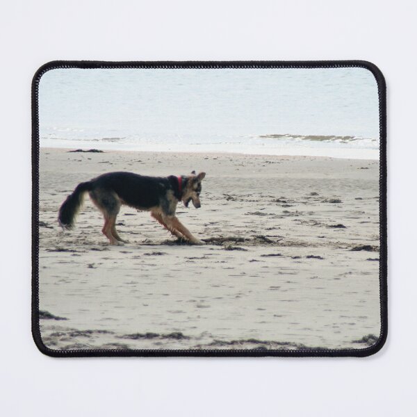 Item preview, Dog playing on a Beach designed and sold by Calidris Fotografie Steffi & Ben Köppler.