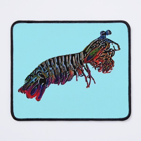 Item preview,  Mantis Shrimp Black Alternate Design  designed and sold by designsasstultd.