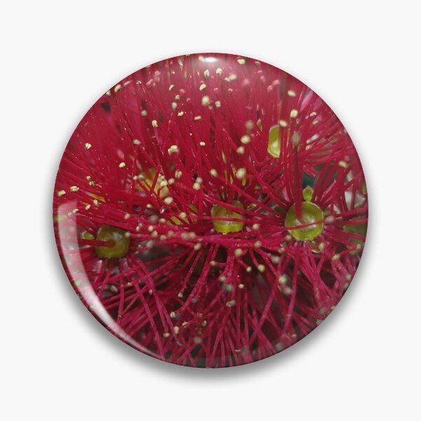 Item preview, Callistemon C1 designed and sold by NTxPhotography.