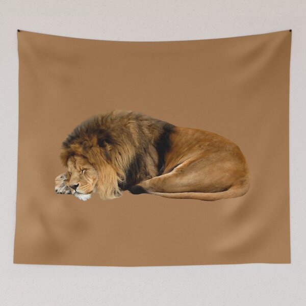 Item preview, A Brown Lion With A Fluffy Mane Is Sleeping Culturally designed and sold by Phantasmal-2-do.