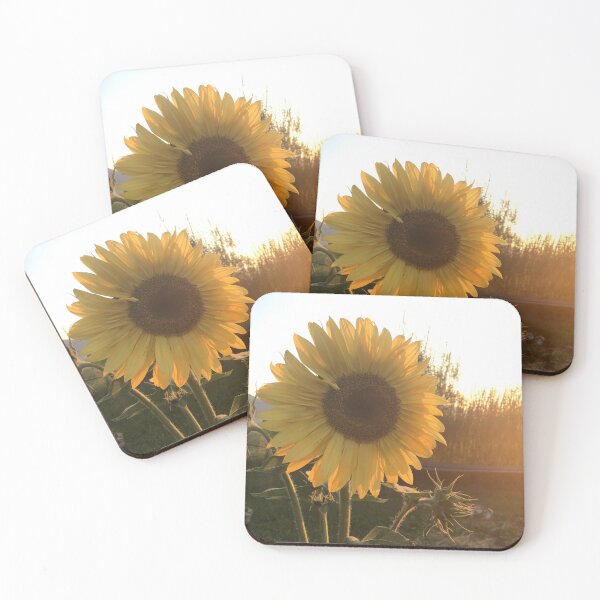 Item preview, Sunflower  designed and sold by Atomic-Cowboy.