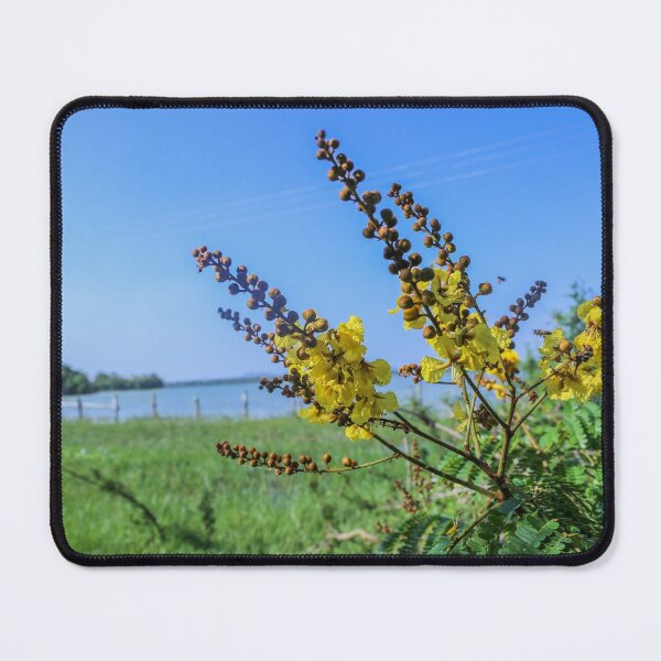 Item preview, Fabales Flowers near Lake designed and sold by iSeek.