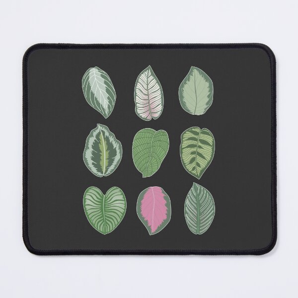 Item preview, Calathea Leaves designed and sold by TASORA.
