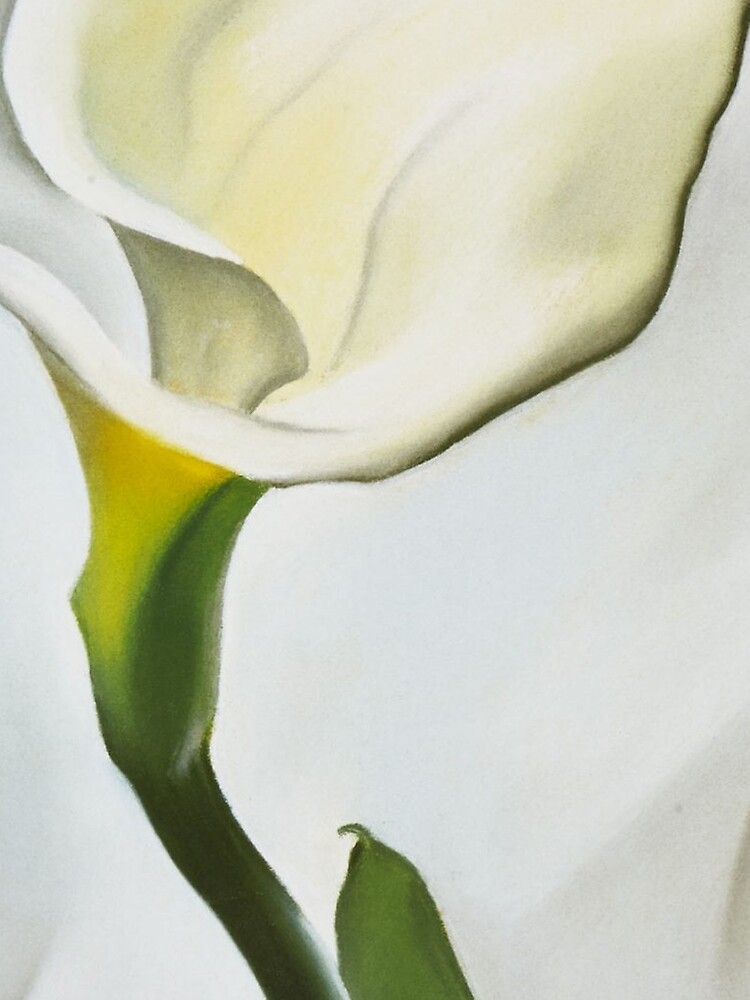 Calla Lily Turned Away by Georgia O'Keeffe