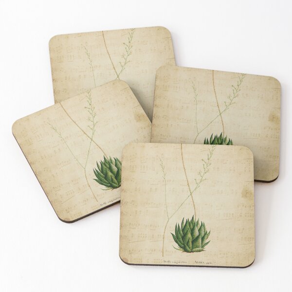 Item preview, Haworthia Succulent Vintage Style Botanical Print designed and sold by Ninth Western.