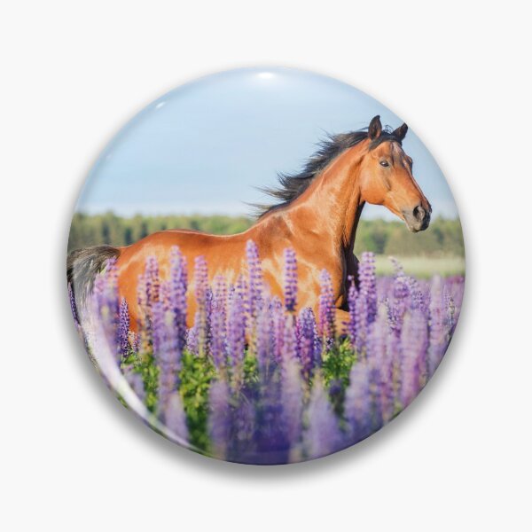 Aperçu de l'œuvre A cheval sur le terrain ! créée et vendue par Dora95.