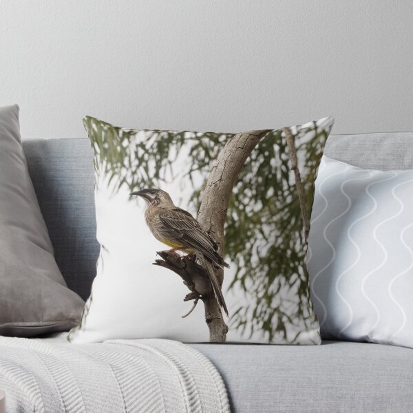 Item preview, Red Wattlebird Adult designed and sold by Sandra Chung.
