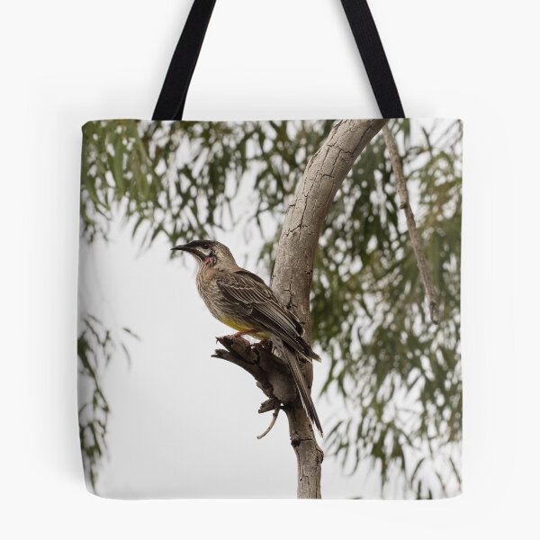 Item preview, Red Wattlebird Adult designed and sold by Sandra Chung.