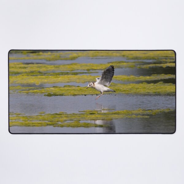 Item preview, Fishing Bird designed and sold by RafaelLima7.