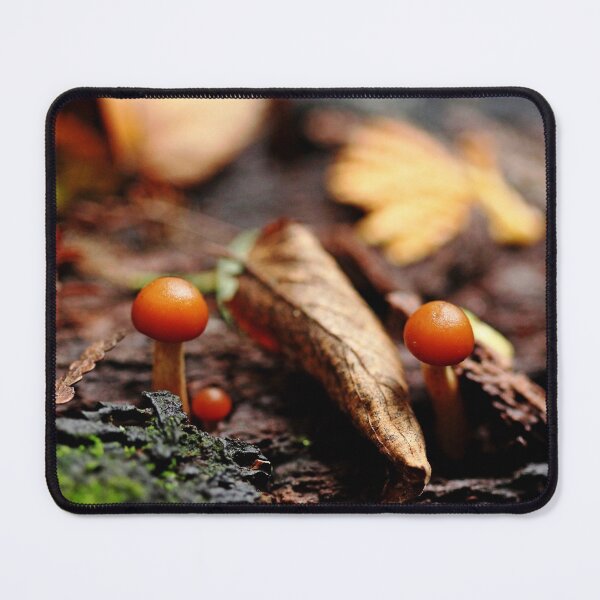 Item preview, Little Life In The Forest designed and sold by Debbie Oppermann.