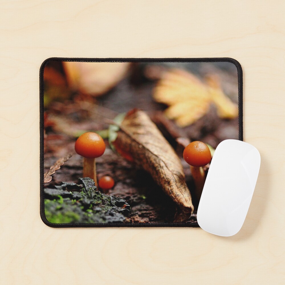 Little Life In The Forest Mouse Pad