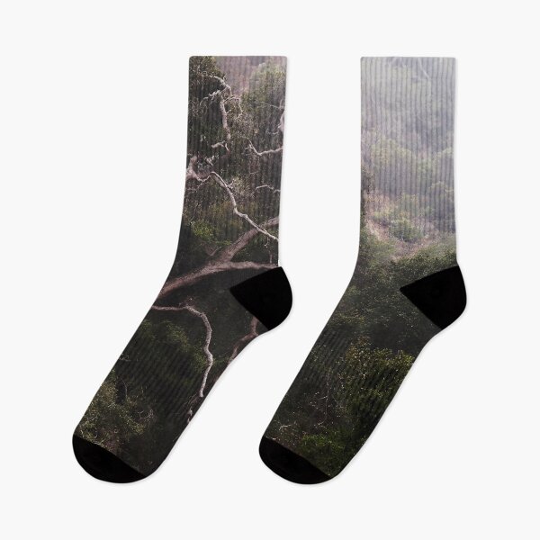 Item preview, The Old Oak Tree, Prisoners Harbor, Santa Cruz Island designed and sold by Douglas E. Welch Design and Photography.
