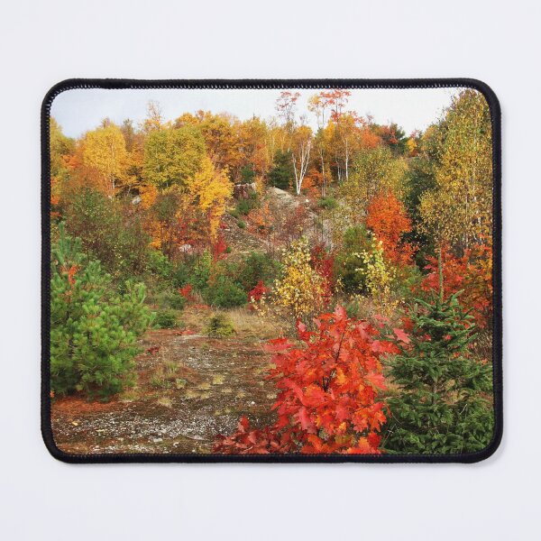 Item preview, My Favorite Color Is October designed and sold by Debbie Oppermann.