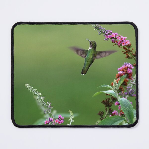 Item preview, Garden Jewel designed and sold by Debbie Oppermann.