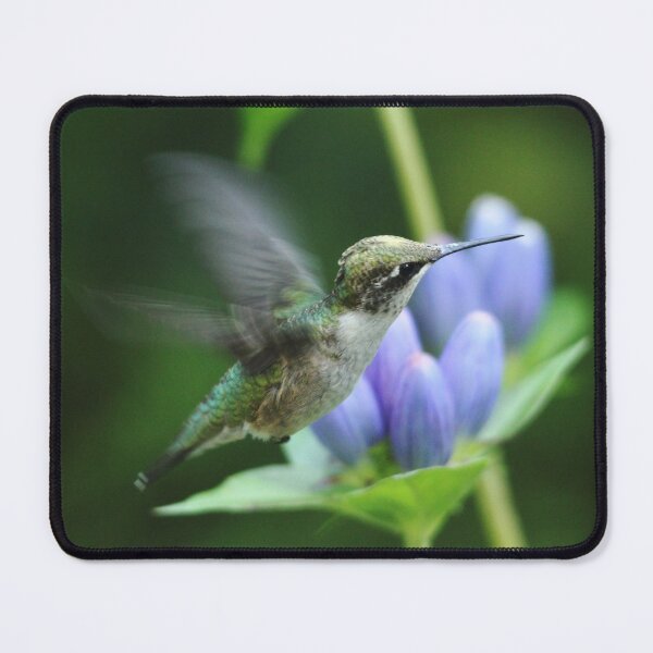 Item preview, Hummingbird And Gentian Blue designed and sold by Debbie Oppermann.