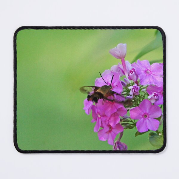 Item preview, Hummingbird Moth And Pink Phlox designed and sold by Debbie Oppermann.