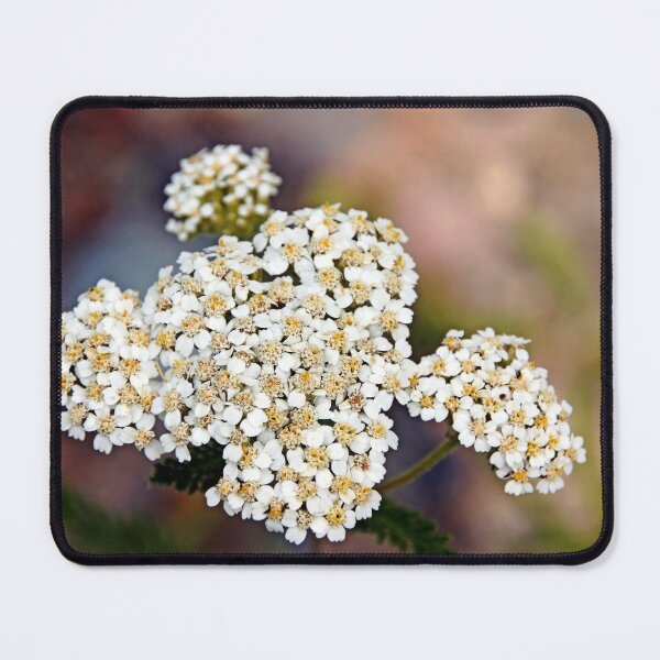 Item preview, Yarrow Wildflower designed and sold by Debbie Oppermann.