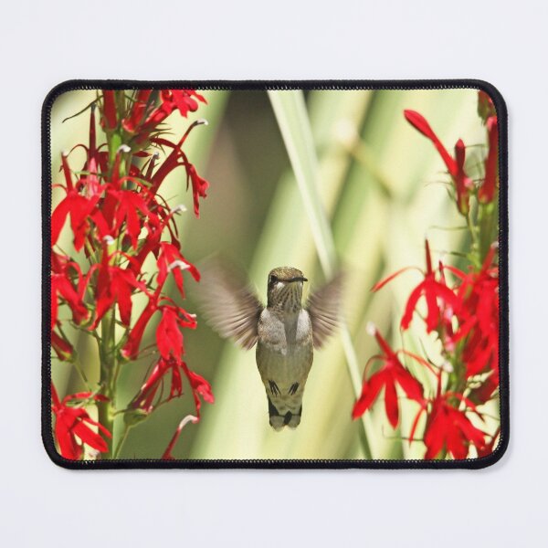 Item preview, Between Two Cardinals designed and sold by Debbie Oppermann.