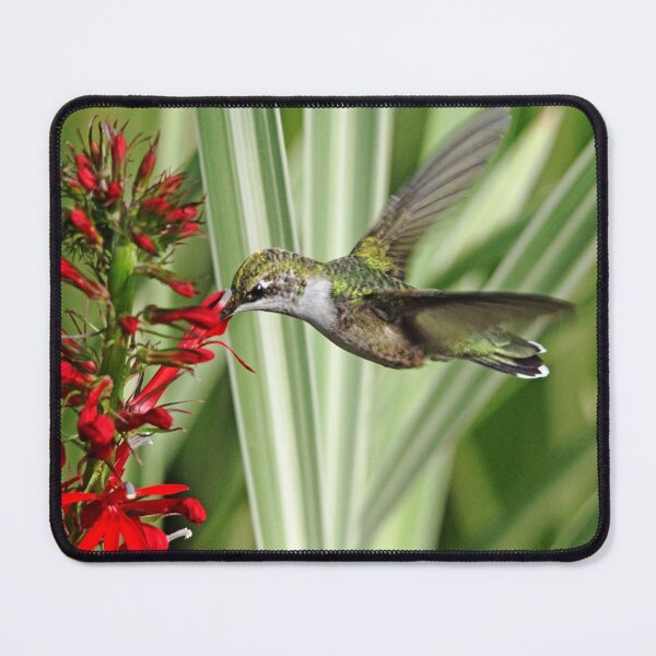 Item preview, Hummingbird and Lobelia designed and sold by Debbie Oppermann.