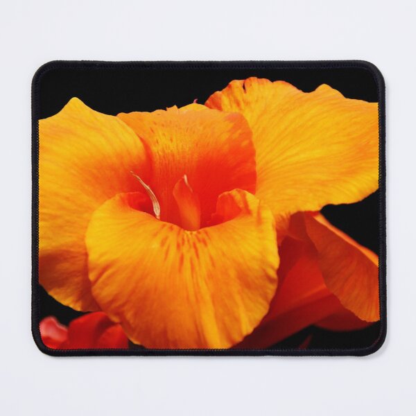 Item preview, Orange Canna Lily designed and sold by Debbie Oppermann.