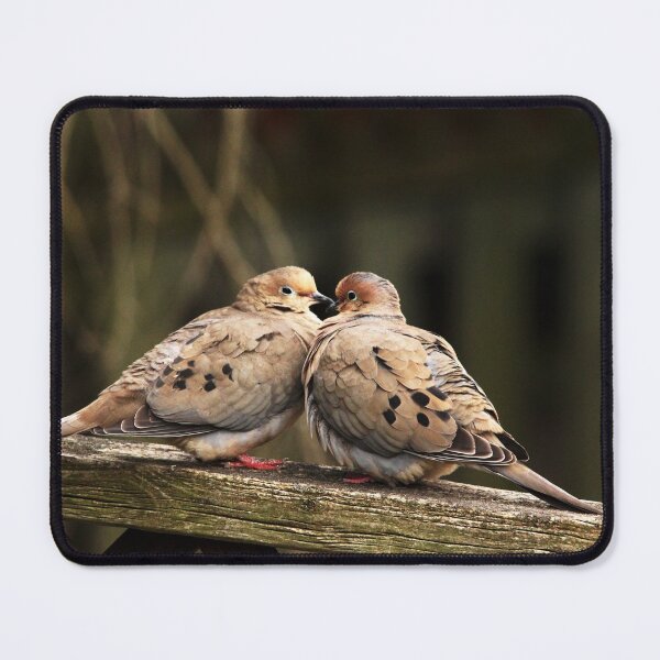 Item preview, Beak To Beak designed and sold by Debbie Oppermann.