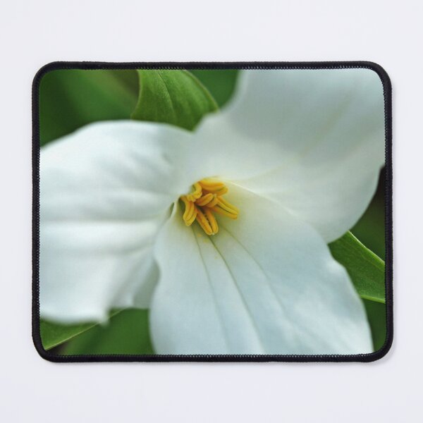 Item preview, White Wake Robin designed and sold by Debbie Oppermann.
