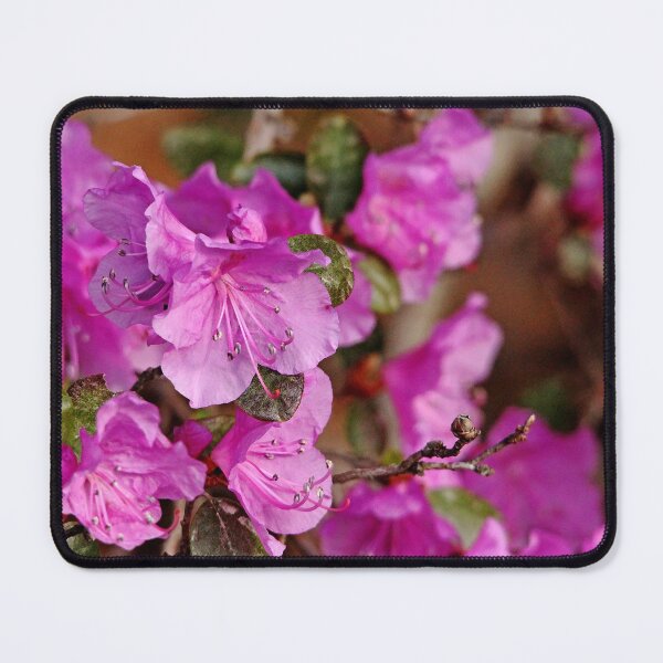 Item preview, Lavender Rhodendron designed and sold by Debbie Oppermann.