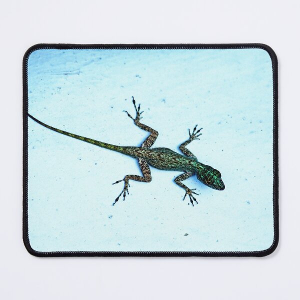 Item preview, Dominican Anole designed and sold by Debbie Oppermann.