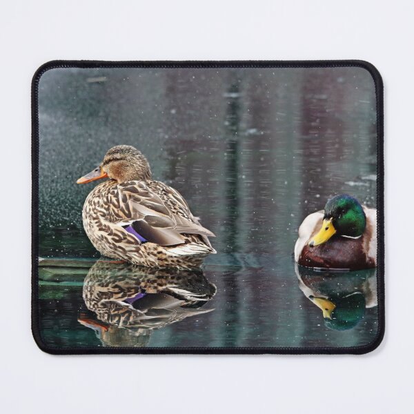 Item preview, Mr And Mrs Mallard designed and sold by Debbie Oppermann.