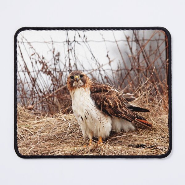 Item preview, Red Tailed Hawk In The Field designed and sold by Debbie Oppermann.