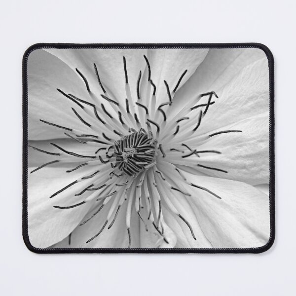 Item preview, Clematis White designed and sold by Debbie Oppermann.