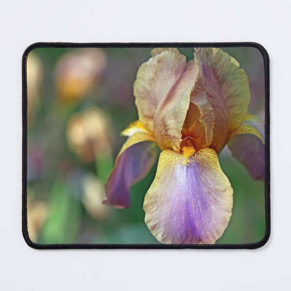 Item preview, Baditude Iris designed and sold by Debbie Oppermann.