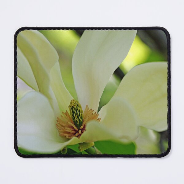 Item preview, Sweet Magnolia designed and sold by Debbie Oppermann.