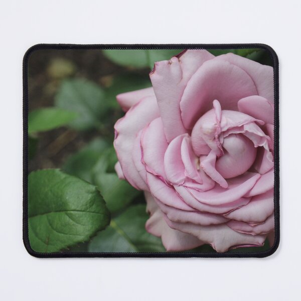 Item preview, Maybe Thorns have Roses designed and sold by mkellermedia.