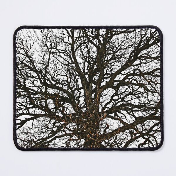 Item preview, Winter Oak designed and sold by Debbie Oppermann.