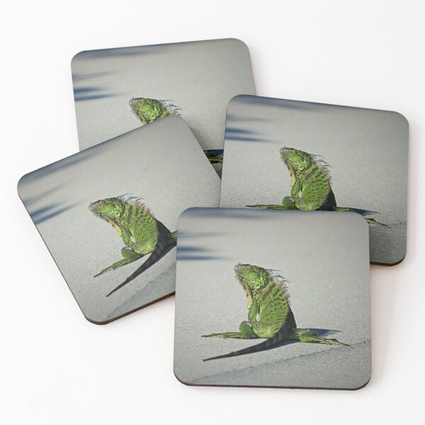 Item preview, No Illusions designed and sold by Michiale.