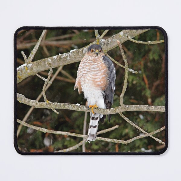 Item preview, Waiting For The Unlucky One designed and sold by Debbie Oppermann.